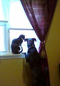 22071_1258437235381_7459672_n