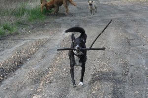 22071_1272019294924_3224510_n